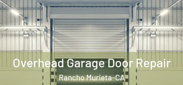  Overhead Garage Door Repair Rancho Murieta-CA